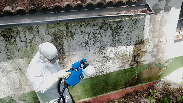 Trusted Attic Mold Removal service in Unionville, PA - Cheap Mold Removal